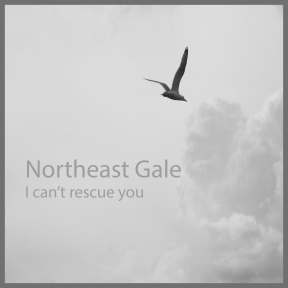 i cant rescue you sleeve