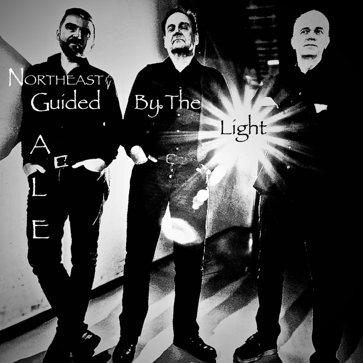 NEG-guided-kansigraffa